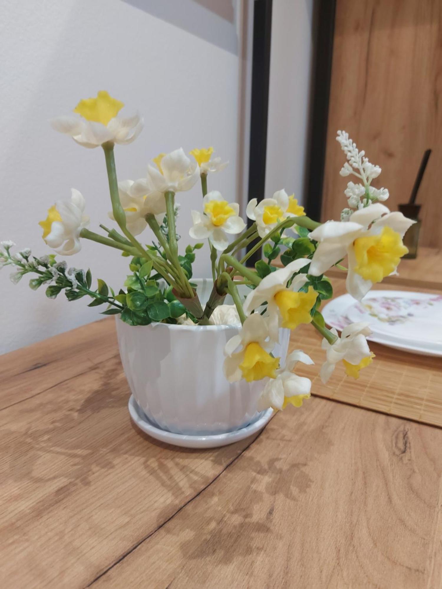 Hotel Center Cozy Nest Tirana Zewnętrze zdjęcie